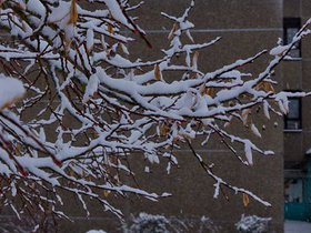 winter-7.jpg