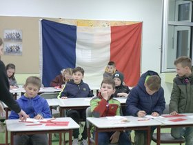 IMG_7913.jpg