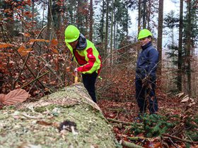 waldtag2012-12.jpg
