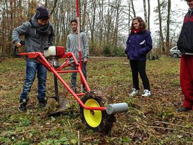 waldtag2012-14.jpg
