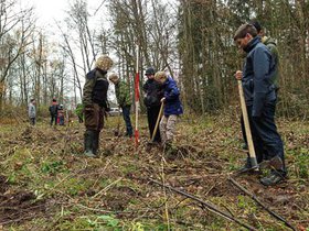 waldtag2012-15.jpg
