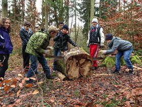 waldtag2012-9.jpg