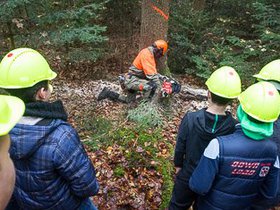 Waldtag2013-11.jpg