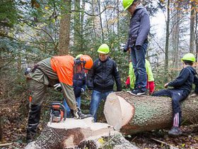 Waldtag2013-12.jpg