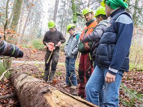 Waldtag2013-13.jpg