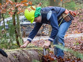 Waldtag2013-14.jpg