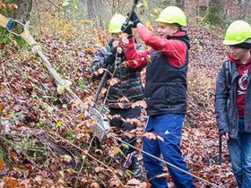 Waldtag2013-15.jpg